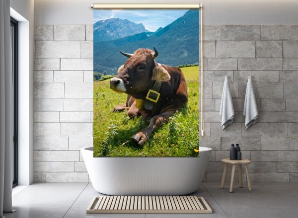 Extartiqe Duschrollo Erna